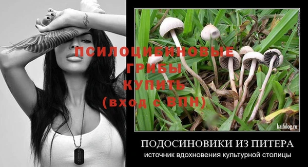 сатива Липки
