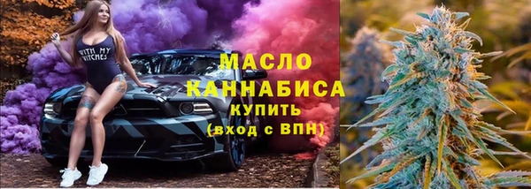 твердый Вяземский