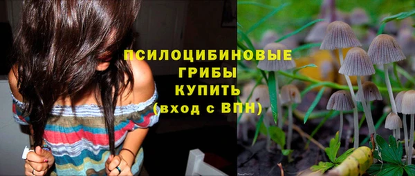 первитин Гатчина