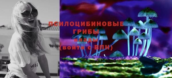 сатива Липки